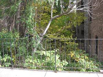 1357 N Bosworth, Chicago, IL 60622