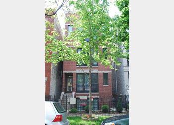 2143 W Crystal Unit 2, Chicago, IL 60622