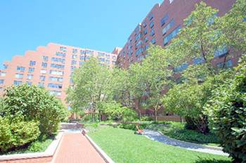 801 S Plymouth Unit 818, Chicago, IL 60605