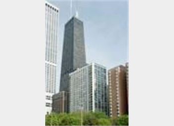 222 E Pearson Unit 2201, Chicago, IL 60611
