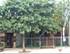 5526 N Broadway, Chicago, IL 60640 Andersonville