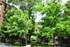 4615 N Ashland, Chicago, IL 60640 Uptown