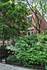 1426 W Wrightwood, Chicago, IL 60614 West Lincoln Park