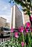 535 N Michigan Unit 2915, Chicago, IL 60611 Streeterville