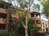 4706 N Maplewood Unit 2, Chicago, IL 60625 Lincoln Square