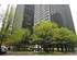900 N Lake Shore Unit 610, Chicago, IL 60611 Streeterville