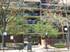 3021 S Michigan Unit 306, Chicago, IL 60616 