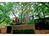 336 W Wisconsin, Chicago, IL 60614 Lincoln Park