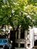 1833 N Larrabee Unit 2, Chicago, IL 60614 Lincoln Park