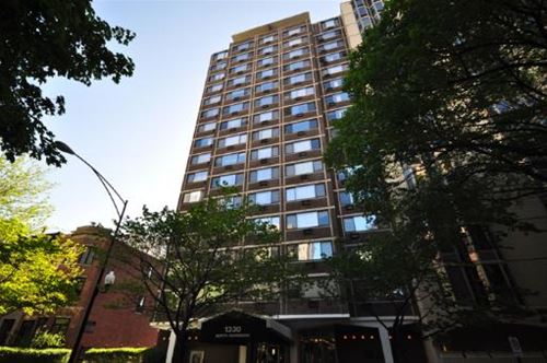1330 N Dearborn Unit 302, Chicago, IL 60610