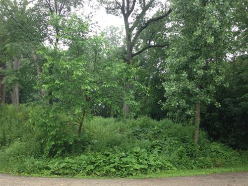 Lot#180 White Face, Woodstock, IL 60098