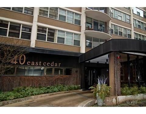 40 E Cedar Unit 14D, Chicago, IL 60611