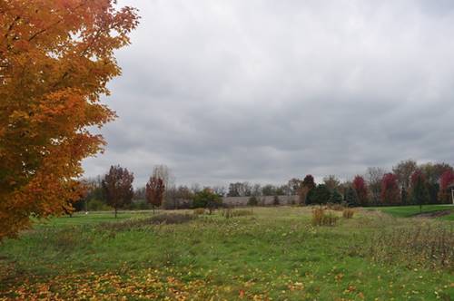 LOT 2 Savanna Lakes, Elgin, IL 60124