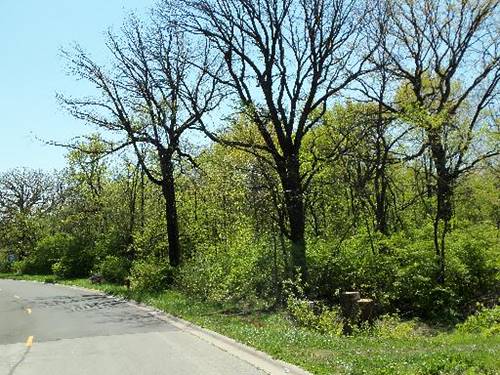 LOT #9 Oak Grove, Morris, IL 60450