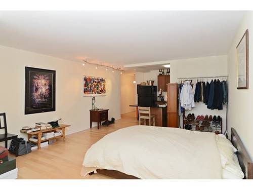 21 W Goethe Unit 10E, Chicago, IL 60610