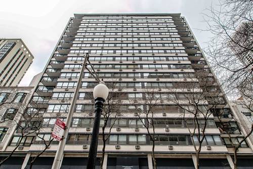 33 E Cedar Unit 11E, Chicago, IL 60611