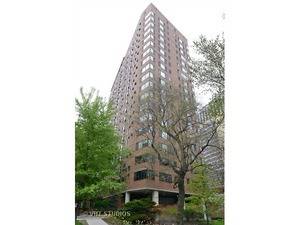 3100 N Lake Shore Unit 1710, Chicago, IL 60657