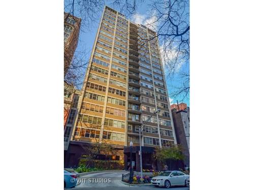 40 E Cedar Unit 11B, Chicago, IL 60611