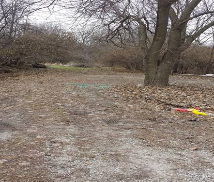 8202 Lemont, Woodridge, IL 60517