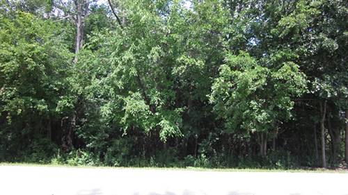 Lot 9 Shade Tree, Lakewood, IL 60014