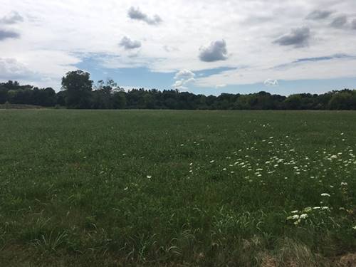 LOT 4 Peraino, Barrington Hills, IL 60010