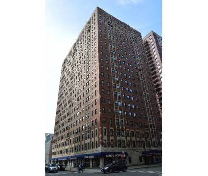 1100 N Dearborn Unit 415, Chicago, IL 60610