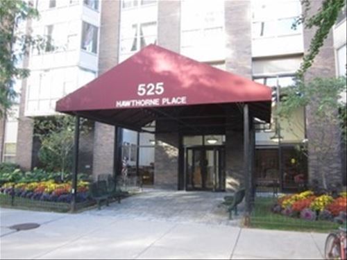 525 W Hawthorne Unit 2708, Chicago, IL 60657