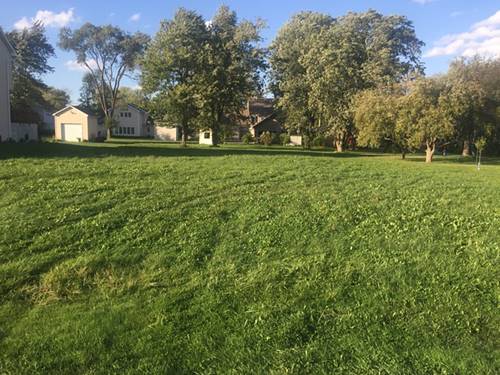 Lot 3 Utah, Frankfort, IL 60423