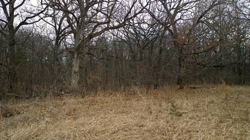 Lot 4 Griswold Springs, Plano, IL 60545