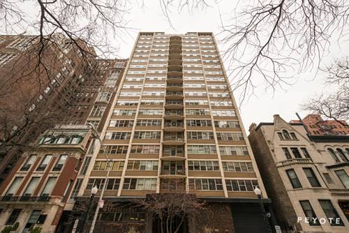 40 E Cedar Unit 18D, Chicago, IL 60611