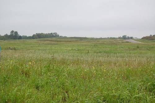 Lot 58 Meadow, Marengo, IL 60152