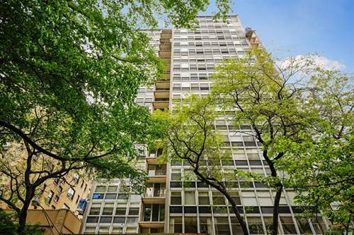 30 E Elm Unit 3D, Chicago, IL 60611