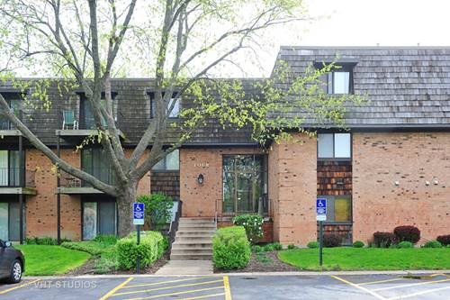 5 Oak Creek Unit 3103, Buffalo Grove, IL 60089