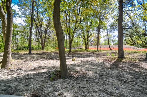 Lot 4 Ray, Geneva, IL 60134