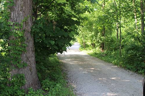 Lot 8 Army Trail, Wayne, IL 60184