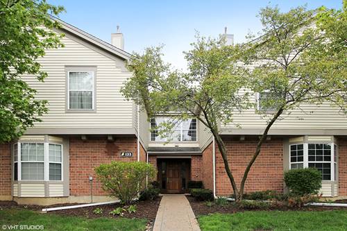 123 Willow Brook Unit 7, Schaumburg, IL 60195