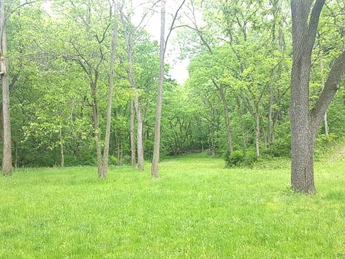 Lot 1598 Lake Wildwood, Varna, IL 61375