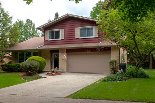 523 E Juniper, Palatine, IL 60074