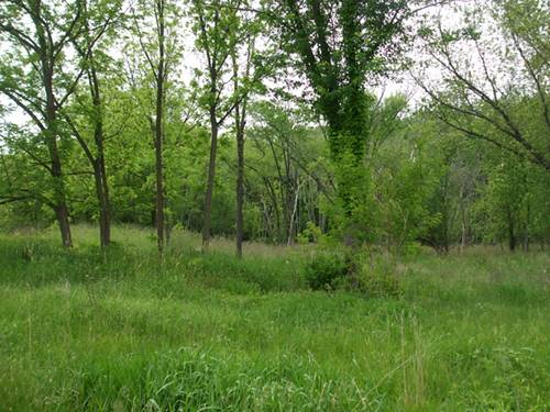 Lot 297 Hidden Springs, St. Charles, IL 60175