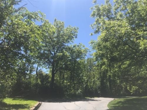 Lot 1 Greenwood, St. Charles, IL 60174