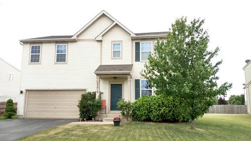 25019 Brigade, Plainfield, IL 60544