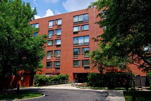 1115 S Plymouth Unit 117, Chicago, IL 60605