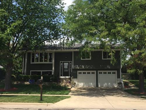 808 S Salem, Schaumburg, IL 60193