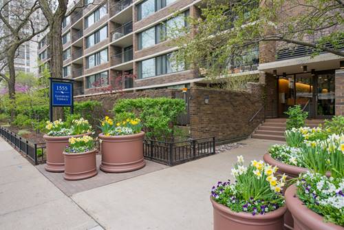 1555 N Sandburg Unit 204K, Chicago, IL 60610