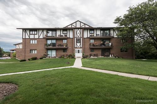 11012 S Theresa Unit 3D, Palos Hills, IL 60465