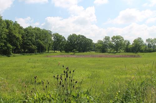 LOT 4 S Bowgren, Elburn, IL 60119