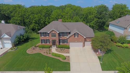 21310 Plank Trail, Frankfort, IL 60423