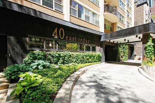 40 E Cedar Unit 7A, Chicago, IL 60611