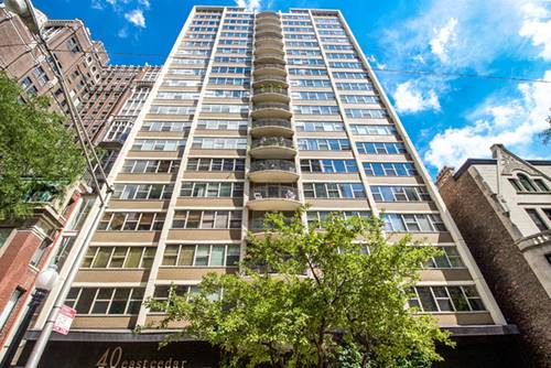 40 E Cedar Unit 14B, Chicago, IL 60611