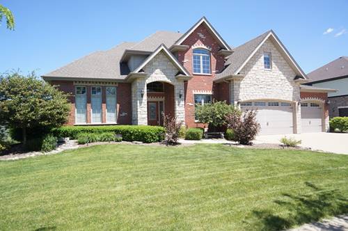 22687 Nature Creek, Frankfort, IL 60423